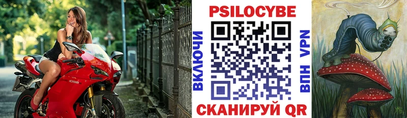 Галлюциногенные грибы мицелий Купить где Шатура